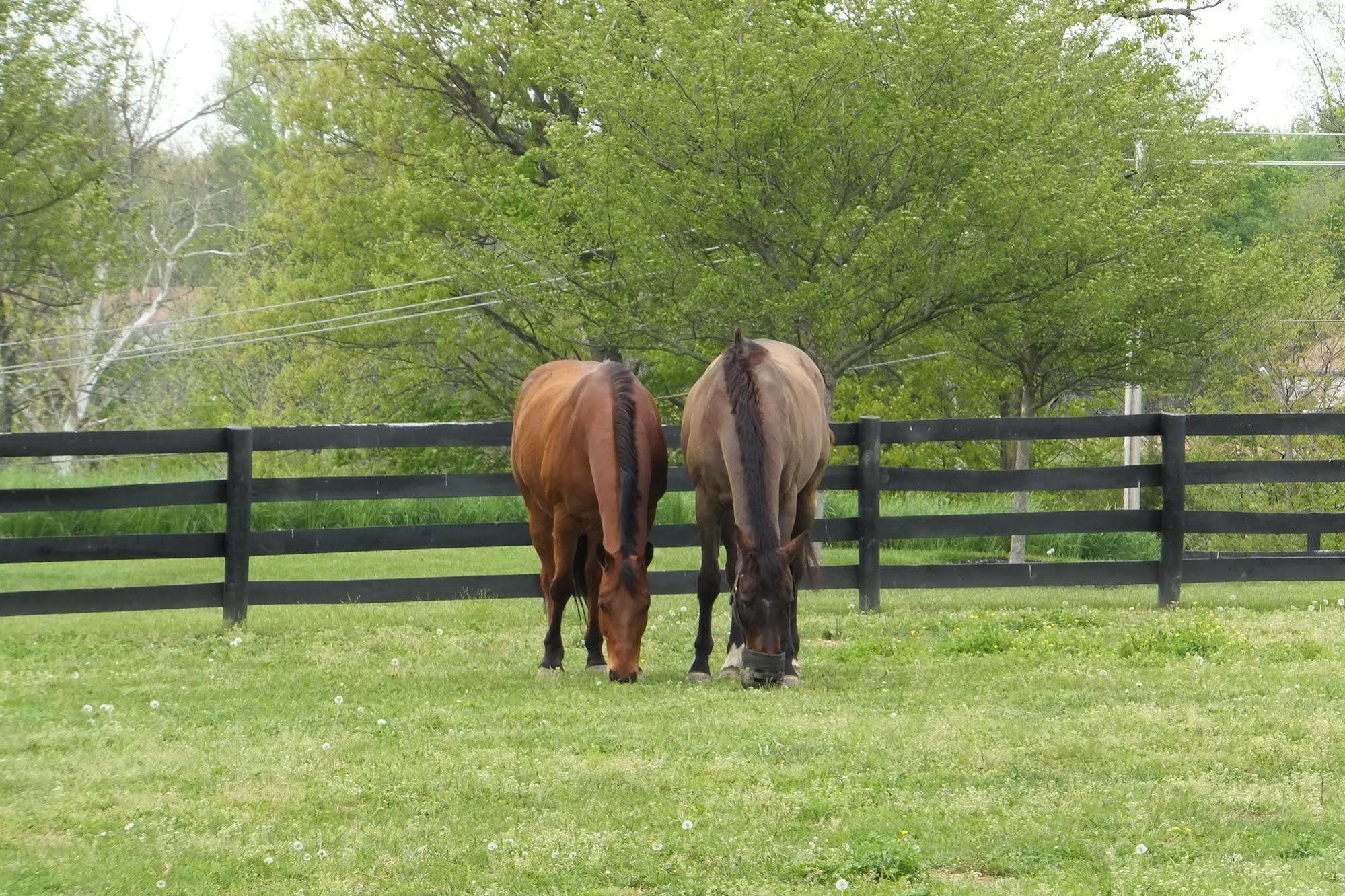 Bluegrass Country Estate Hotel La Grange Luaran gambar
